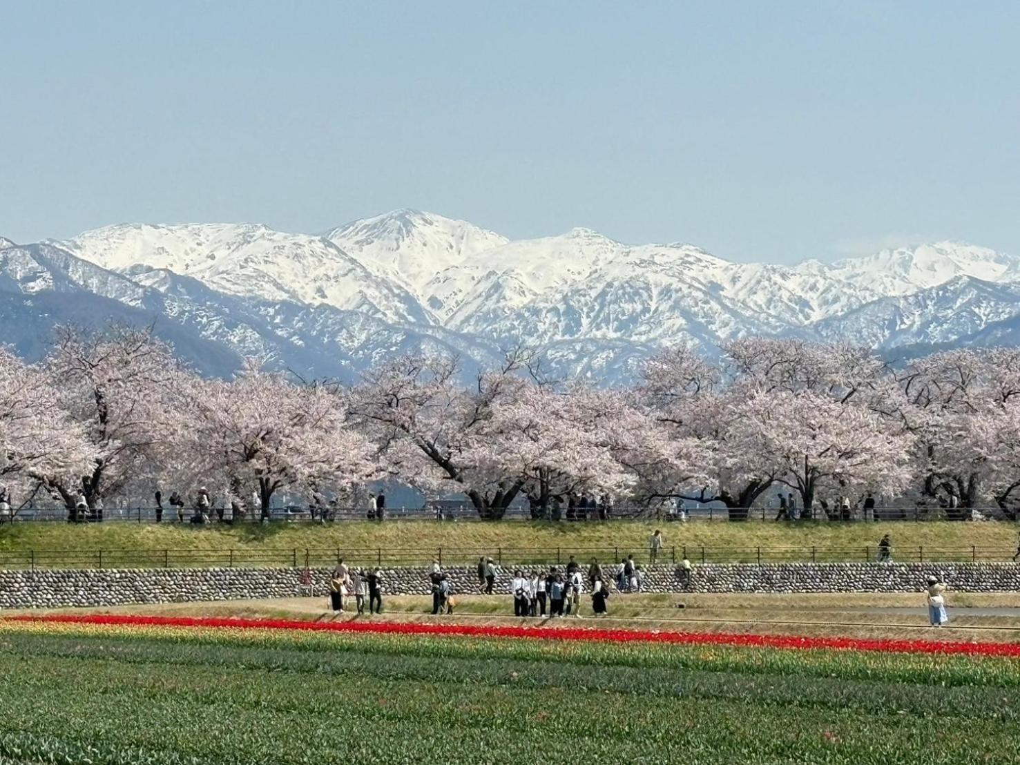 ヨーコのお宿 わくわく Toyama Station Exterior foto