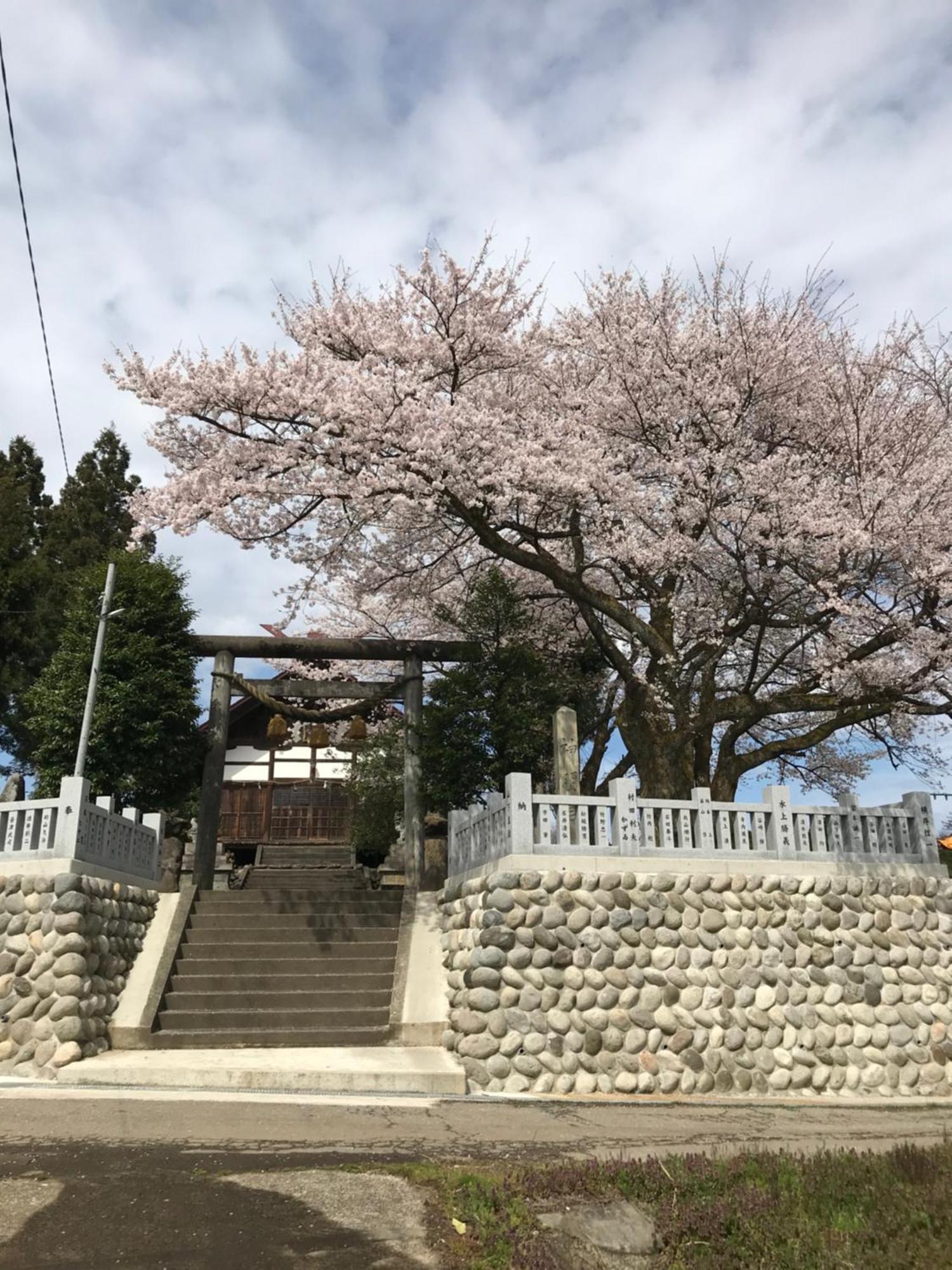 ヨーコのお宿 わくわく Toyama Station Exterior foto
