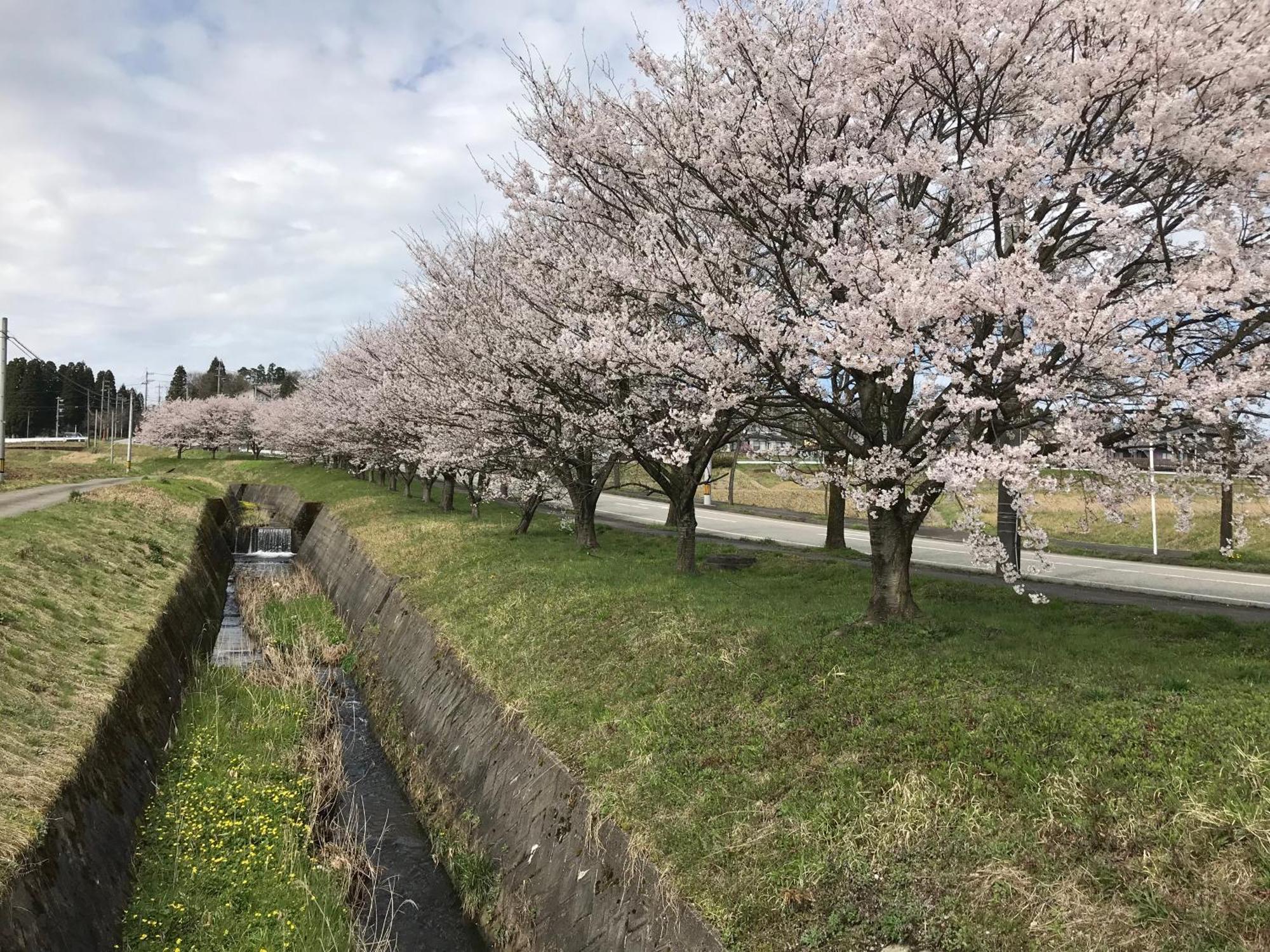 ヨーコのお宿 わくわく Toyama Station Exterior foto